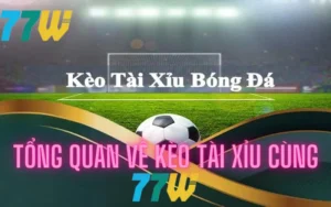 Tìm hiểu về kèo tài xỉu cùng chuyên gia 77bet