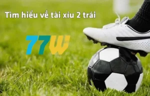 Tìm hiểu về tài xỉu 2 trái tại 77bet